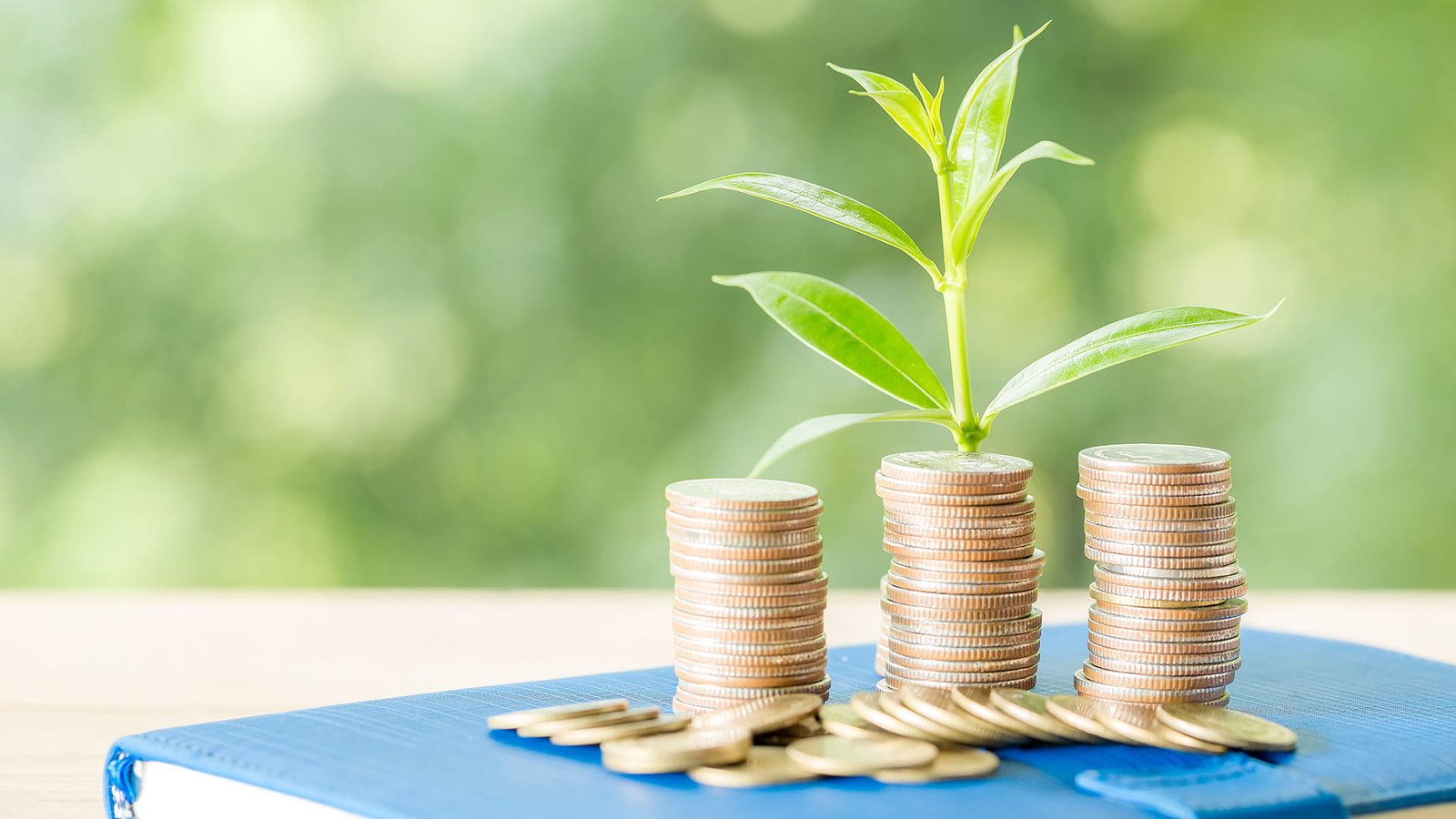 Mengapa Investasi di Merauke, Papua adalah Pilihan yang Bagus